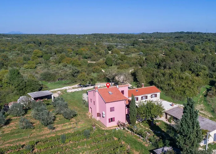 Amazing In With Wifi